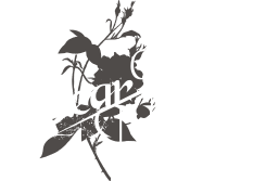 Dear L'Novel